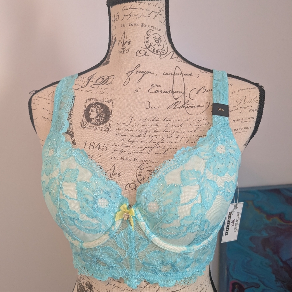 Victoria's Secret 2013 Fashion Show Limited Edition Blue Lace Longline Bra 34D